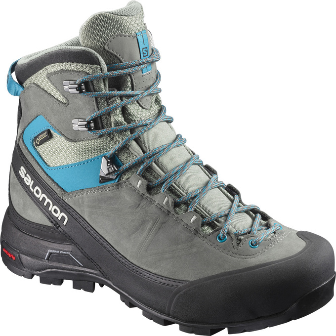 Buty Turystyczne Damskie Salomon X ALP MTN GTX® W - Szare / Czarne - Polska (106-ETLQJD)